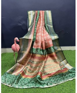 Kanchi organza saree