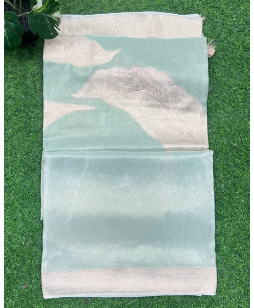 Tissue georgette saree