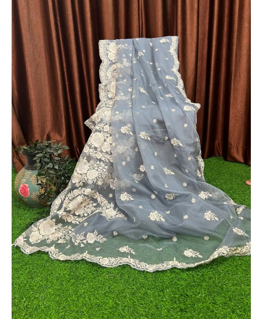 Orgnza saree